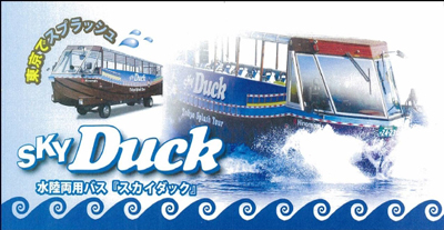 1skyduck.jpg
